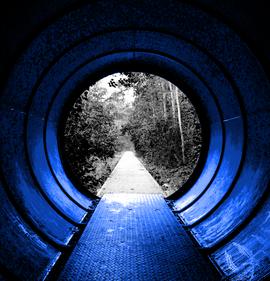 Ausstellung „Licht und Schatten“ von Lutz Krawiec und Petra Steinbeiß