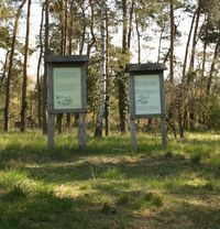 Die Bestattungen von Groß Fredenwalde, Uckermark - Das älteste Gräberfeld Deutschlands