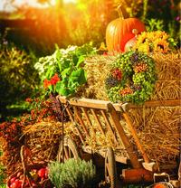 Handwerkerfest zum Erntedank
