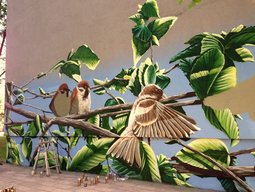 Portfolio image