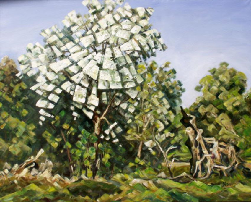 Portfolio image