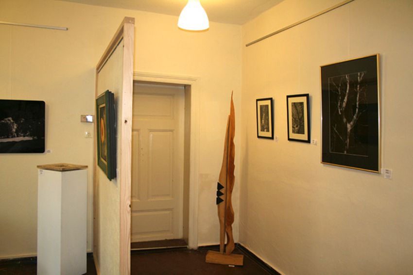 Portfolio image
