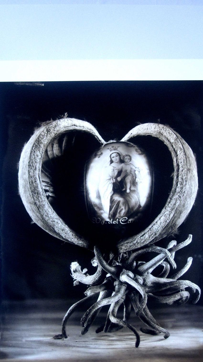Portfolio image