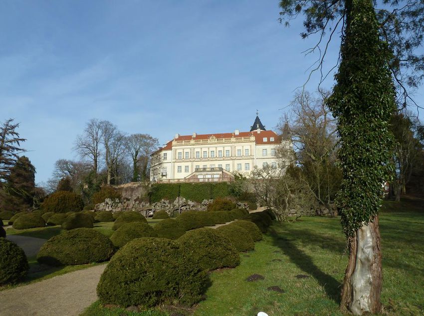 Portfolio image