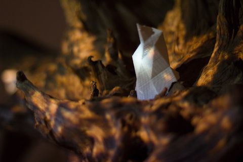Portfolio image from Xenorama