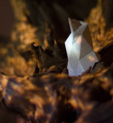 Portfolio image from Xenorama