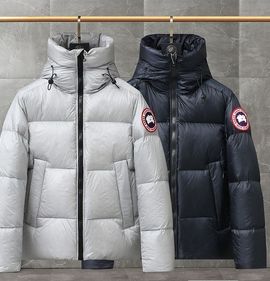 Logo of paragooseofficial, https://paragooseofficial.fr/