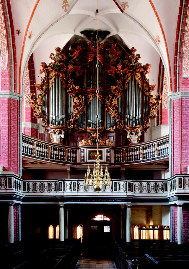 Gallery cover image for Wolf Bergelt