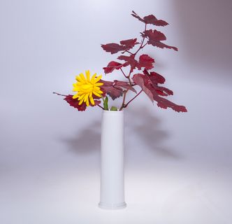 Portfolio image from Frank Ludwig