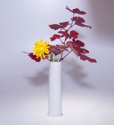 Portfolio image from Frank Ludwig