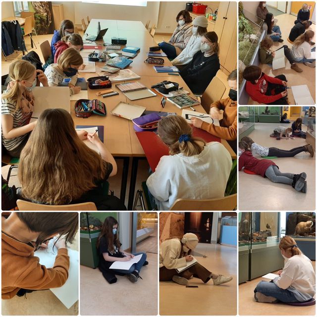 Gallery cover image for Jana Franke