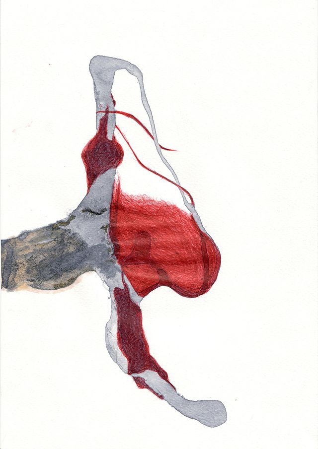 Gallery cover image for Kopf
