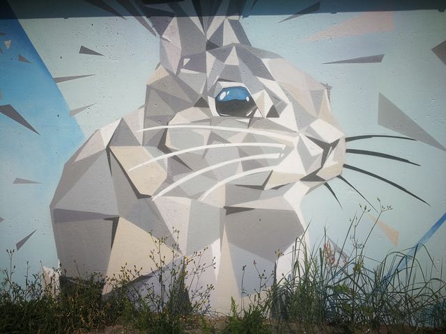 Gallery preview image for Appolloart.de Patrick Kleinschmidt