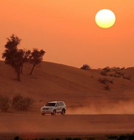 Safari Offer Dubai Desert