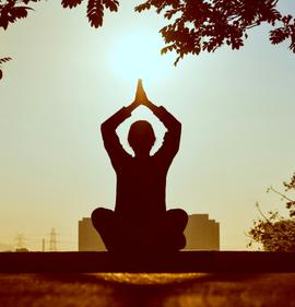 Profile image of Dhoni Mahendra