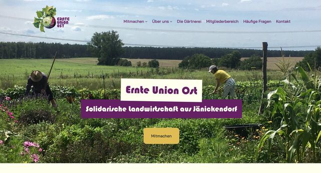 Gallery cover image for Elisa Gelmroth