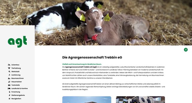 Gallery cover image for Elisa Gelmroth
