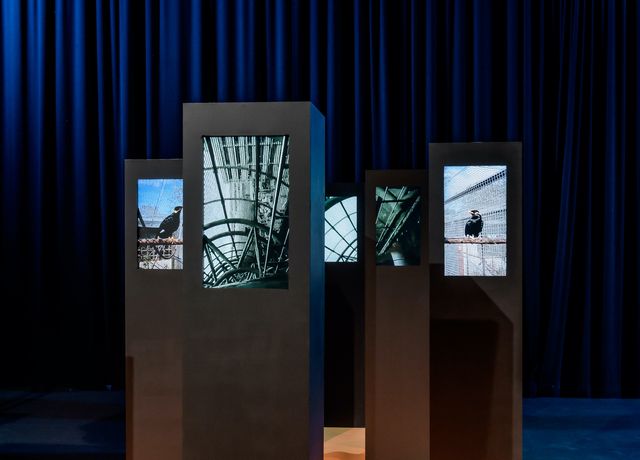 Gallery cover image for Honorata Szulakowska