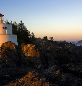 Profile image of thomas nicky