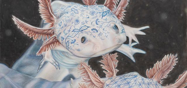 Gallery cover image for Drawing