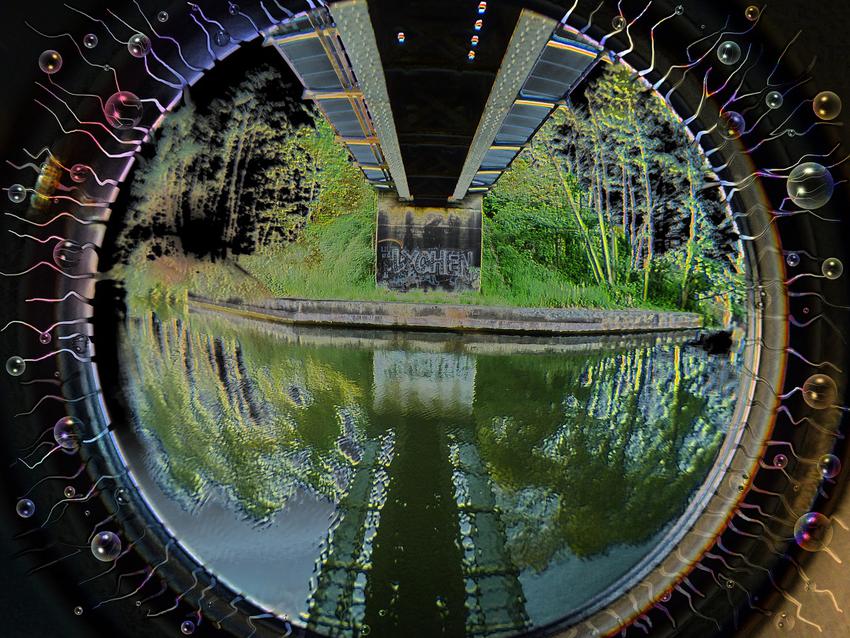Portfolio image