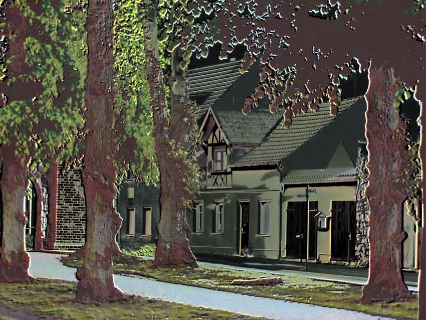 Portfolio image