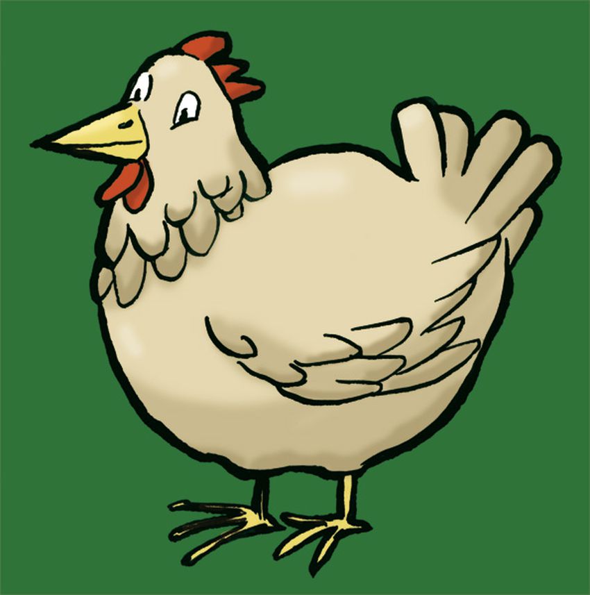Portfolio image