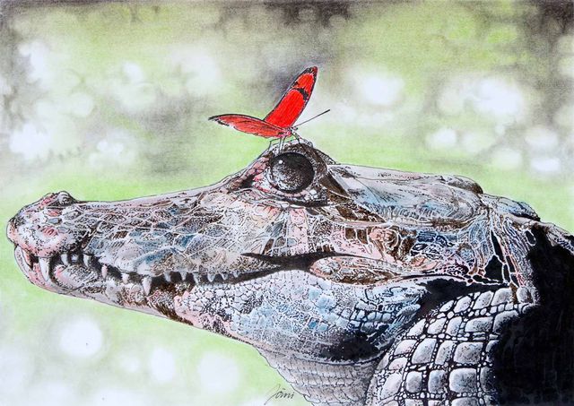 Gallery preview image for Jörg-Michael Knuth