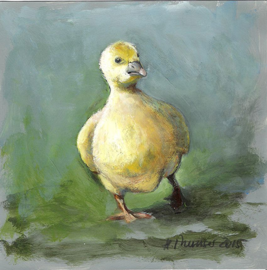 Portfolio image
