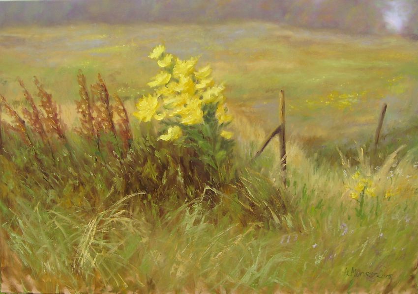 Portfolio image