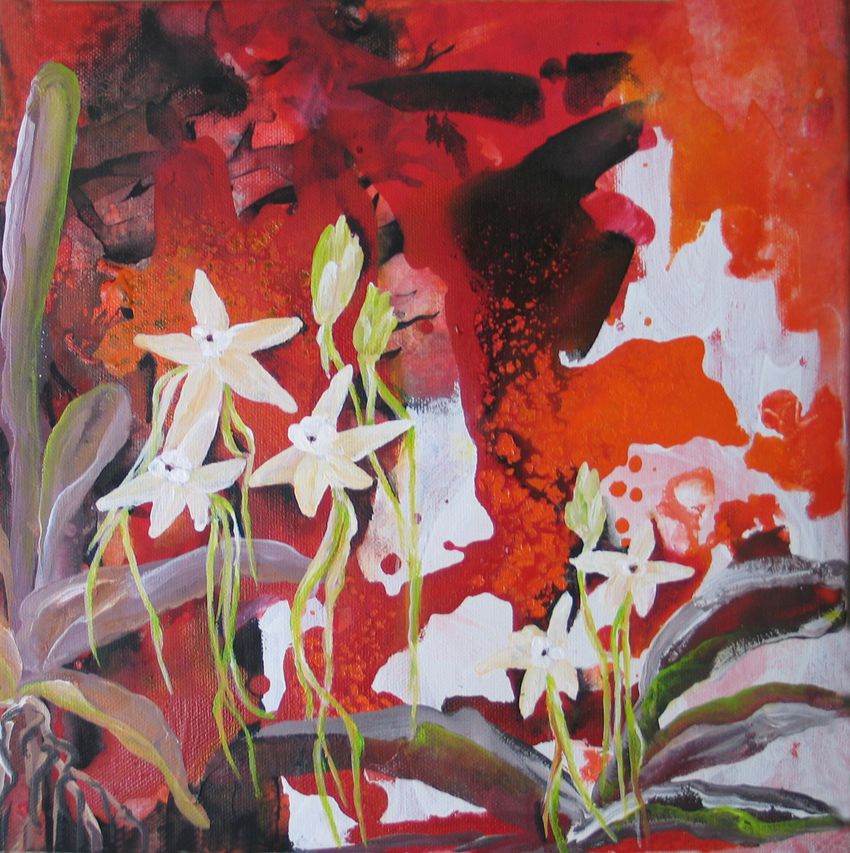 Portfolio image