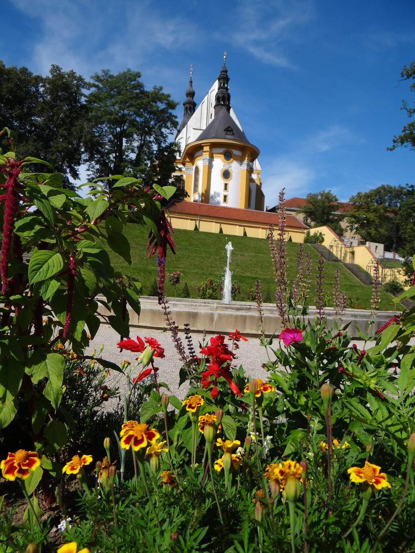 Portfolio image
