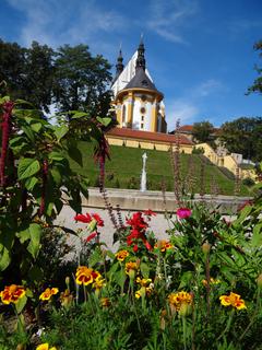 Portfolio image from Zsuzsanna Luzsinszky