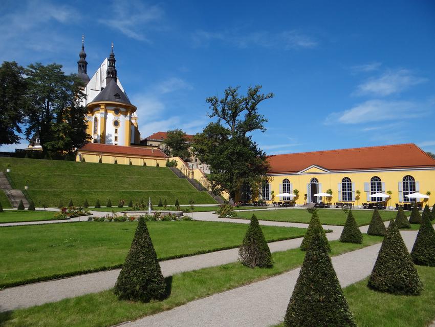 Portfolio image