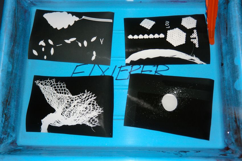 Portfolio image