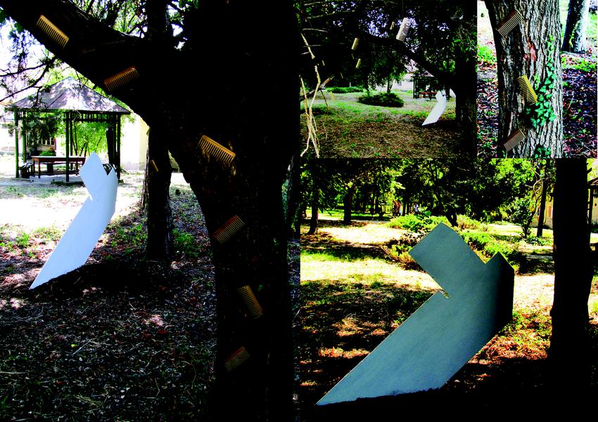 Portfolio image
