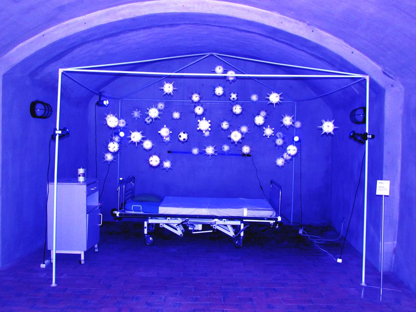 Portfolio image