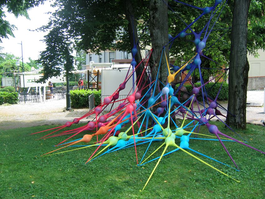 Portfolio image