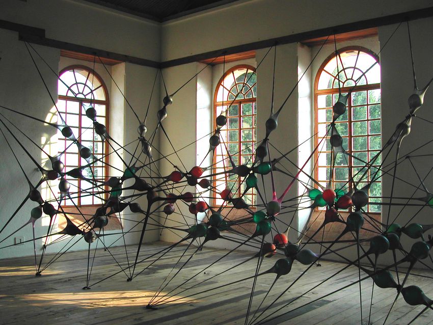 Portfolio image