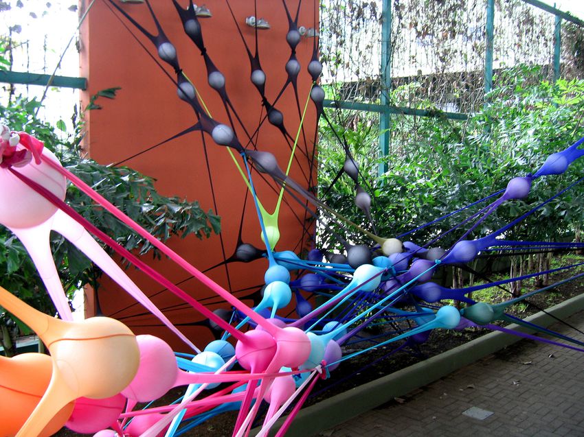 Portfolio image