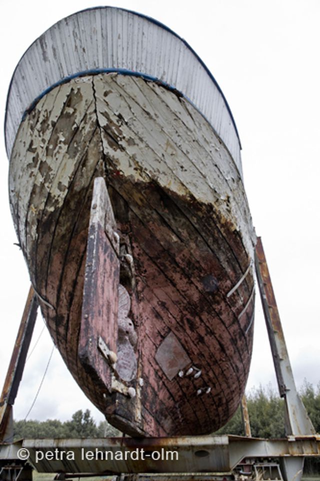 Gallery preview image for petra lehnardt-olm