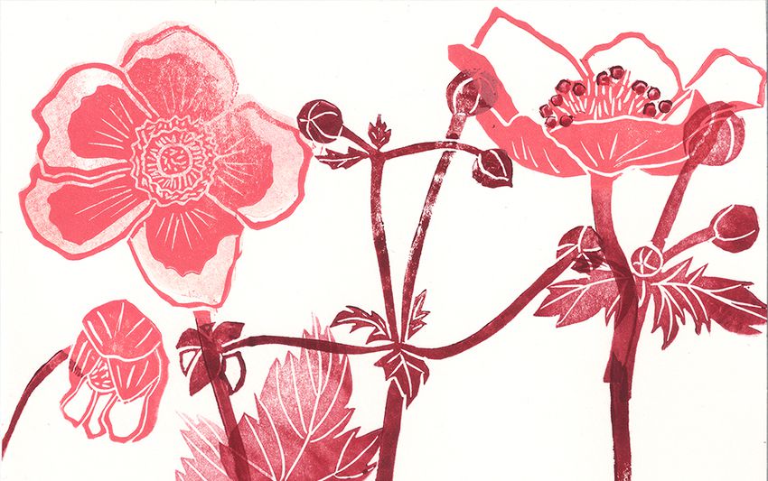Portfolio image
