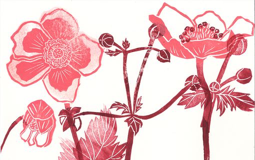 Portfolio image from Verena Postweiler
