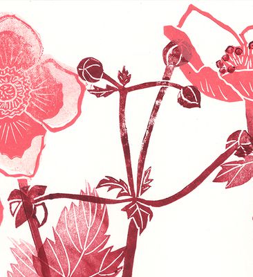 Portfolio image from Verena Postweiler