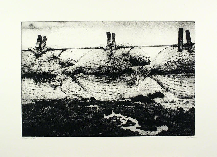 Portfolio image